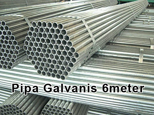 Pipa Galvanis Pipa Galvanis